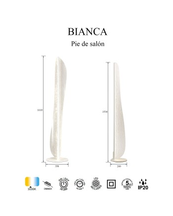 BIANCA * PIE SALON LED